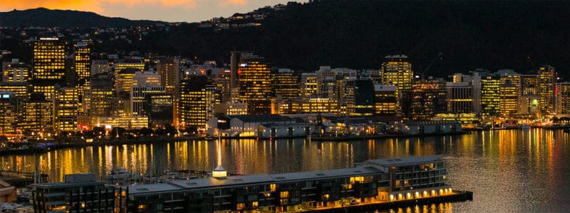 Wellington City Scape